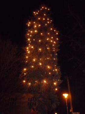 Omlouv�me se, ale obrazek nebyl dod�n