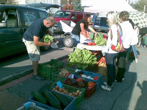 Omlouv�me se, ale obrazek nebyl dod�n