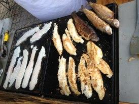 Omlouv�me se, ale obrazek nebyl dod�n