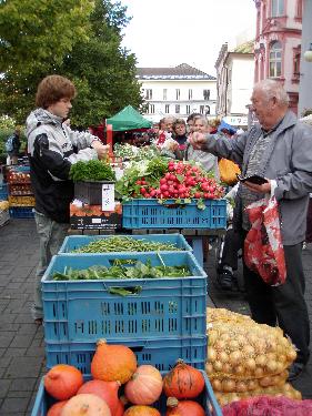 Omlouv�me se, ale obrazek nebyl dod�n